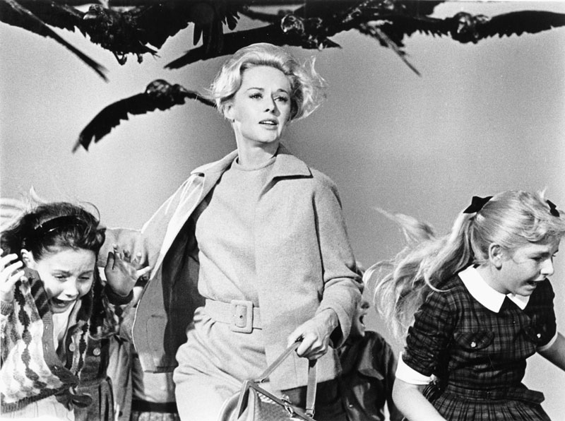 Los pájaros (1963): Fascinación Hitchcock-du Maurier