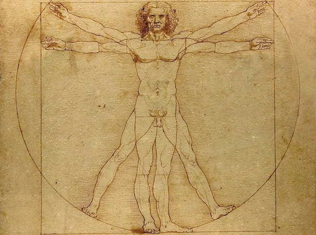 El hombre de vitruvio. Leonardo da Vinci