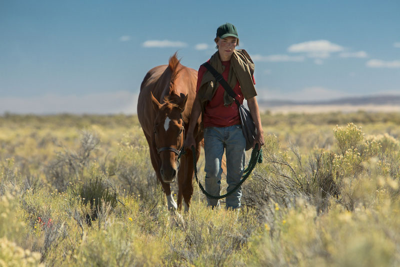 Lean on Pete (Andrew Haigh, 2017)