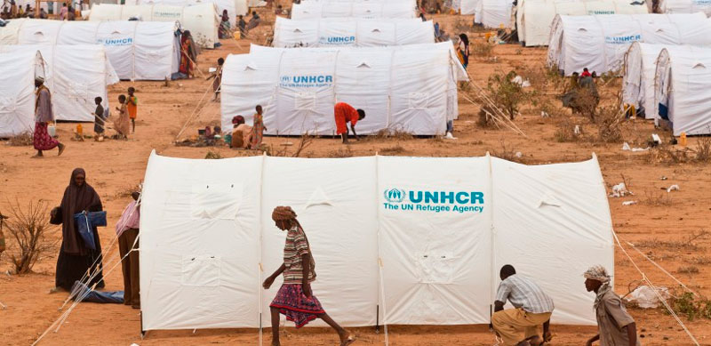 Refugiados UNHCR