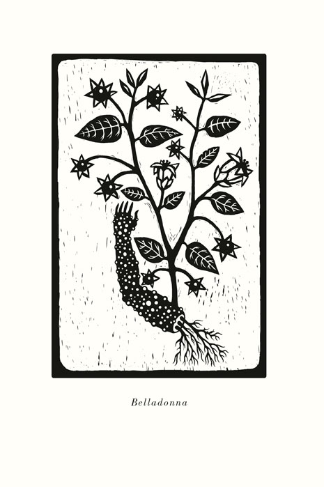 "La coronación de las plantas", Diego S. Lombardi