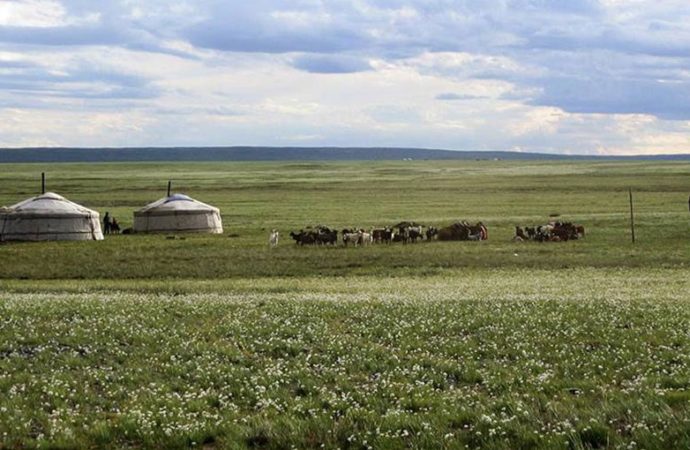 Mongolia: los últimos nómadas