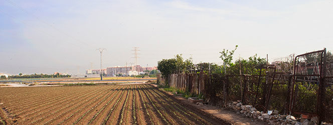 Paseos al límite #7 Entre la huerta y el caos
