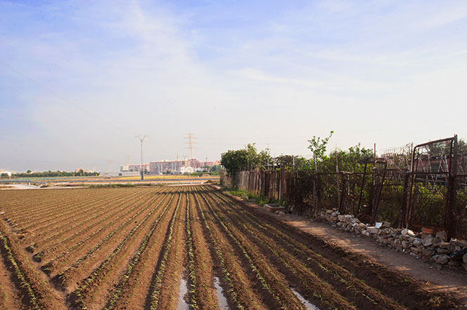 Paseos al límite #7 Entre la huerta y el caos