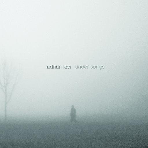 Under songs (Adrián Levi)