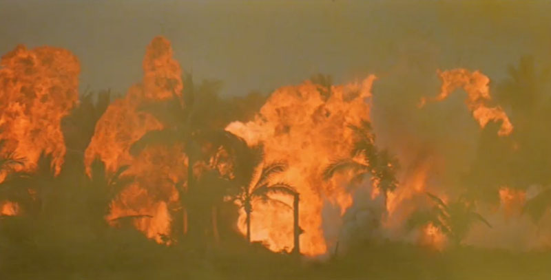 Apocalypse Now (1979, Francis Ford Coppola)