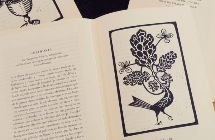 Plantas coronadas: sobre una novela de Diego S. Lombardi