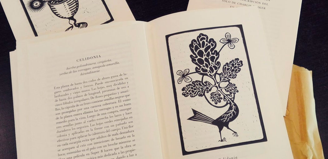 Plantas coronadas: sobre una novela de Diego S. Lombardi
