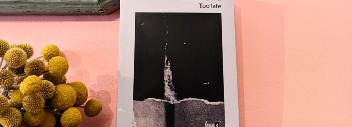 «Too late» de Mario Aznar: misterioso objeto al atardecer