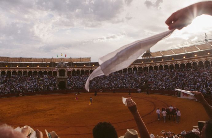 “Tardes de soledad”: el noble arte de la cinematografía