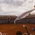 “Tardes de soledad”: el noble arte de la cinematografía