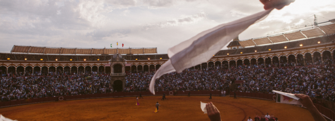 “Tardes de soledad”: el noble arte de la cinematografía