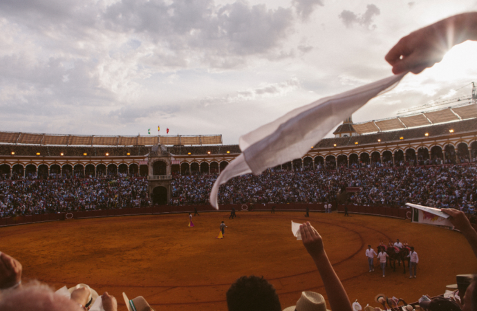 “Tardes de soledad”: el noble arte de la cinematografía