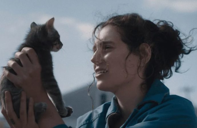 78º Edinburgh International Film Festival: Diarios