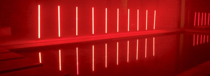 Poetics of the Hybrid: Toward a Trans-Intelligent Aesthetic