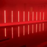 Poetics of the Hybrid: Toward a Trans-Intelligent Aesthetic