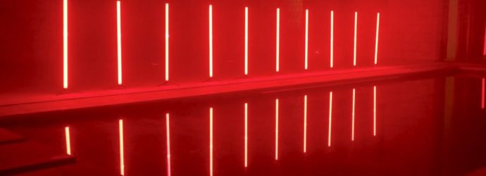 Poetics of the Hybrid: Toward a Trans-Intelligent Aesthetic