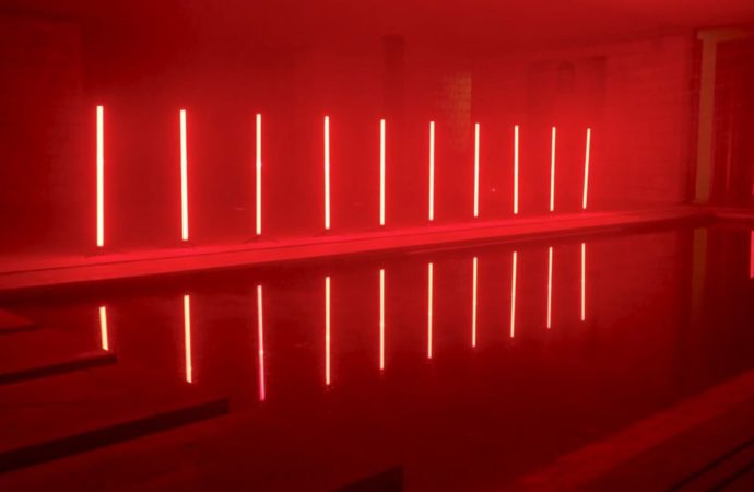 Poetics of the Hybrid: Toward a Trans-Intelligent Aesthetic