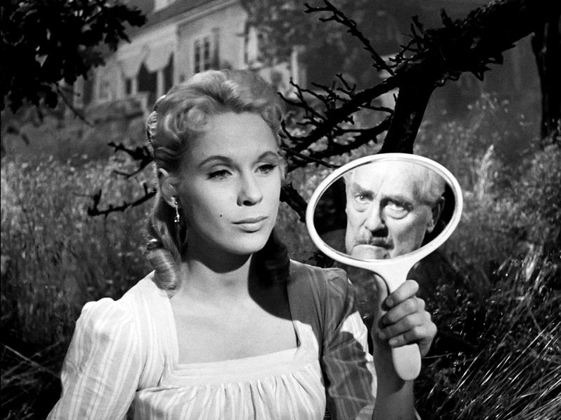 Inteligencia artificial Fresas salvajes