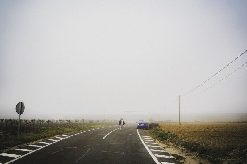 Borja Navarro Perros de caza