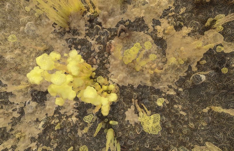 Black Friday Cultural