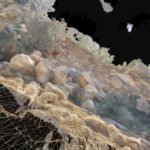 Black Friday cultural