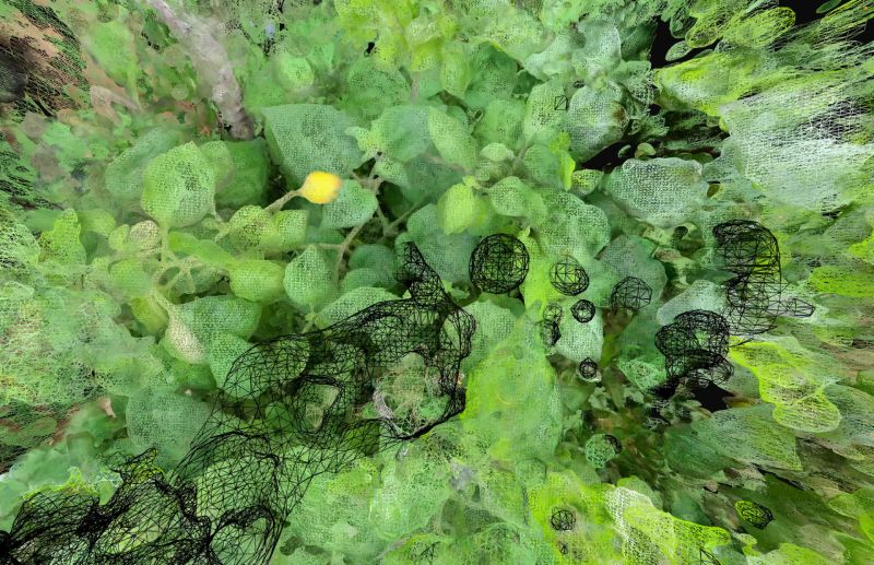 Black Friday Cultural