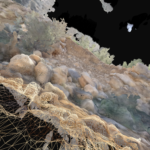 Black Friday cultural