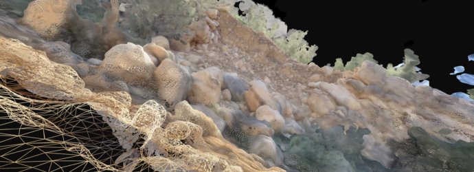 Black Friday cultural