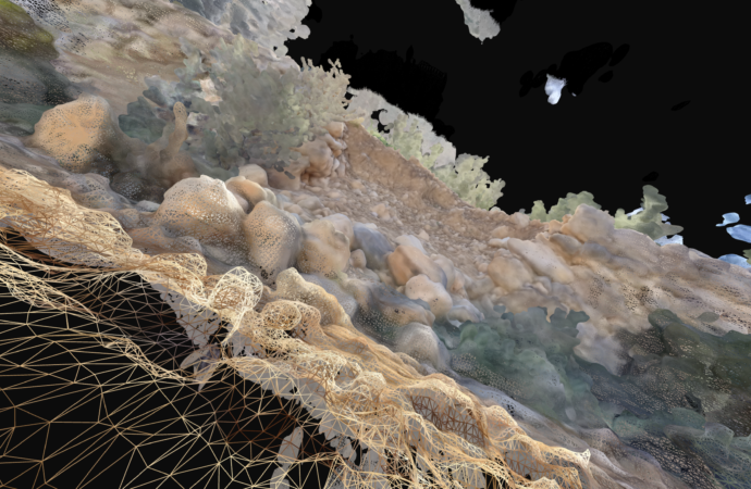 Black Friday cultural