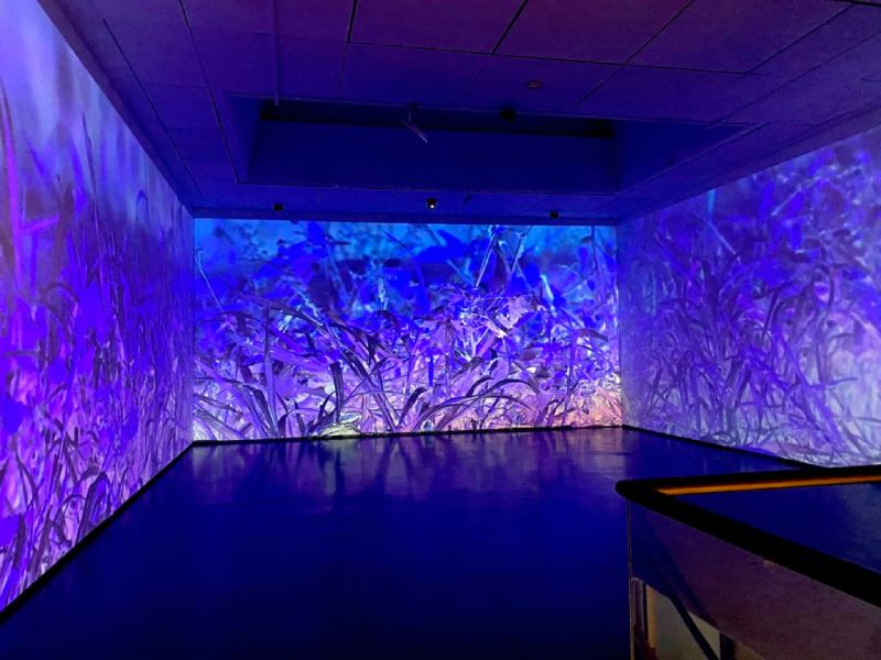 New Media Art