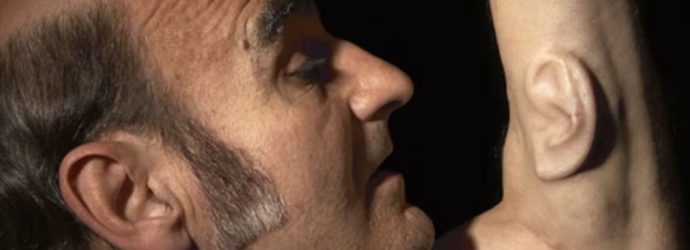 Como oreja sin pareja: de «Novecento» al arte de Stelarc