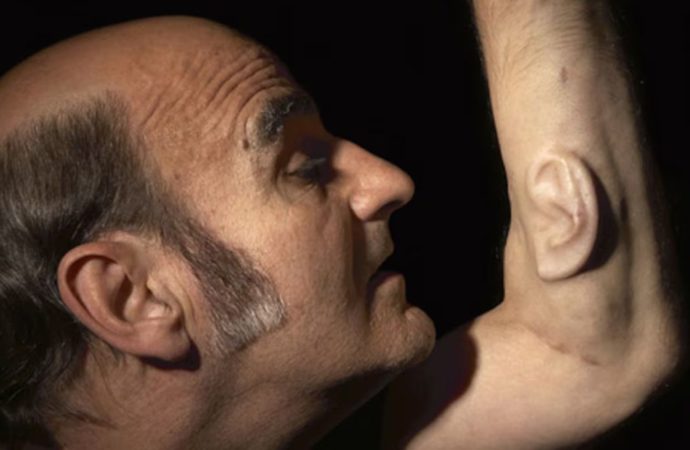 Como oreja sin pareja: de «Novecento» al arte de Stelarc